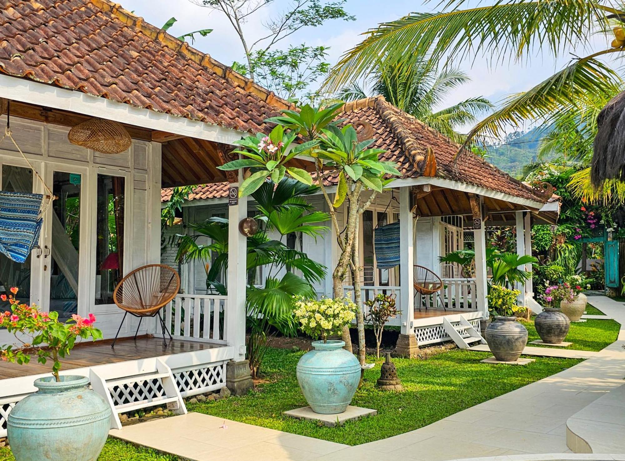 Janur Maison d'hôtes Magelang