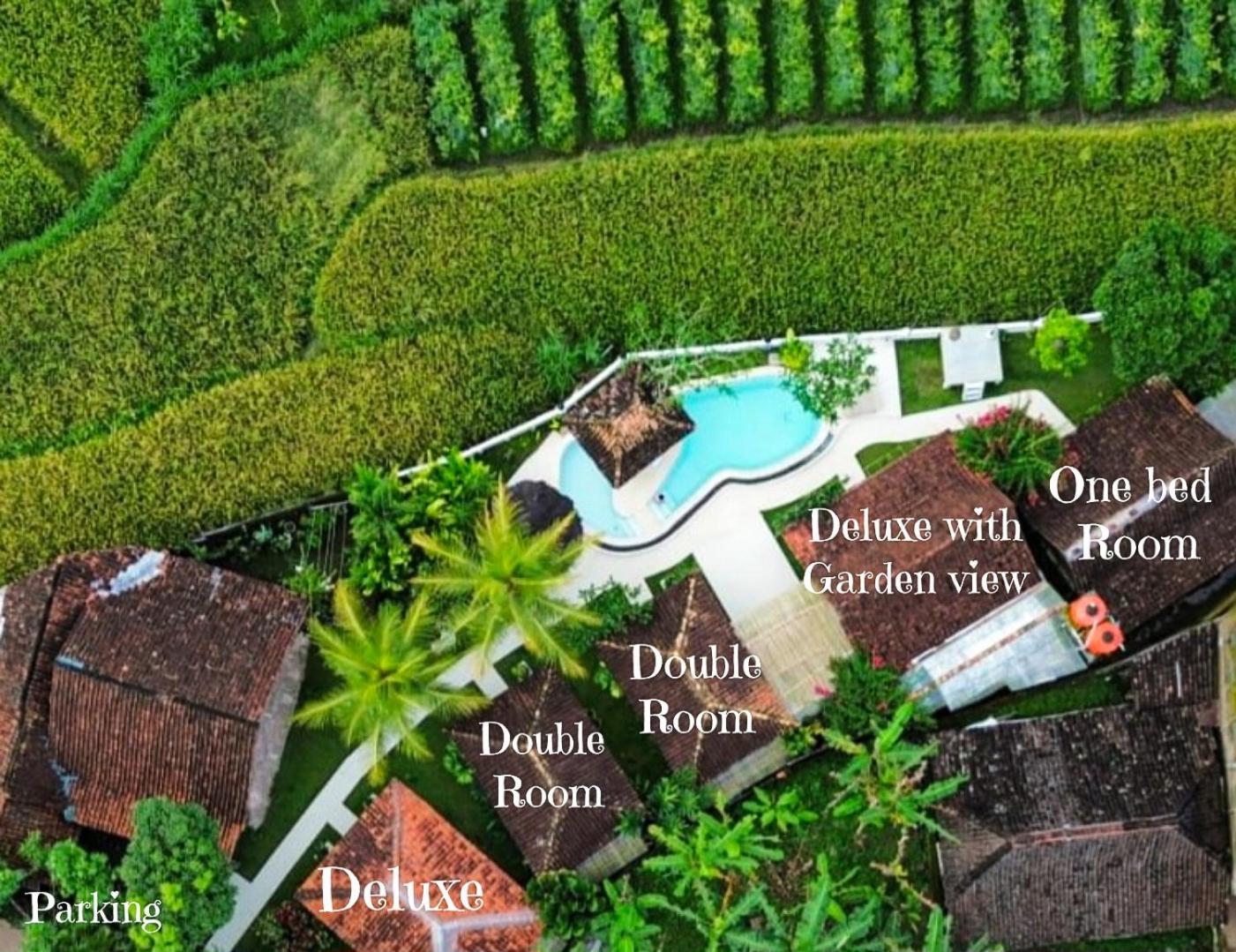 Janur Maison d'hôtes