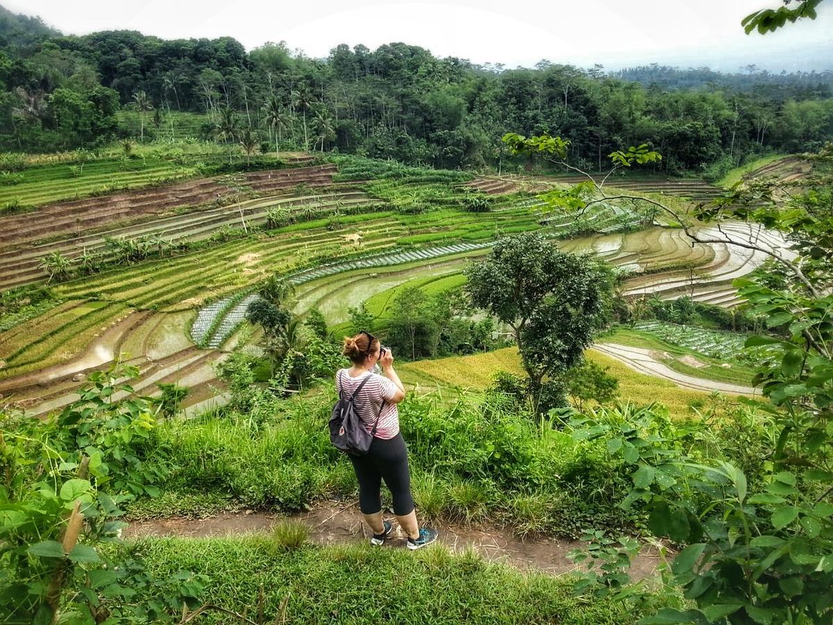 Janur Magelang